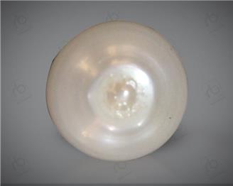  Pearl (Cultured) 8.67CTS-10478